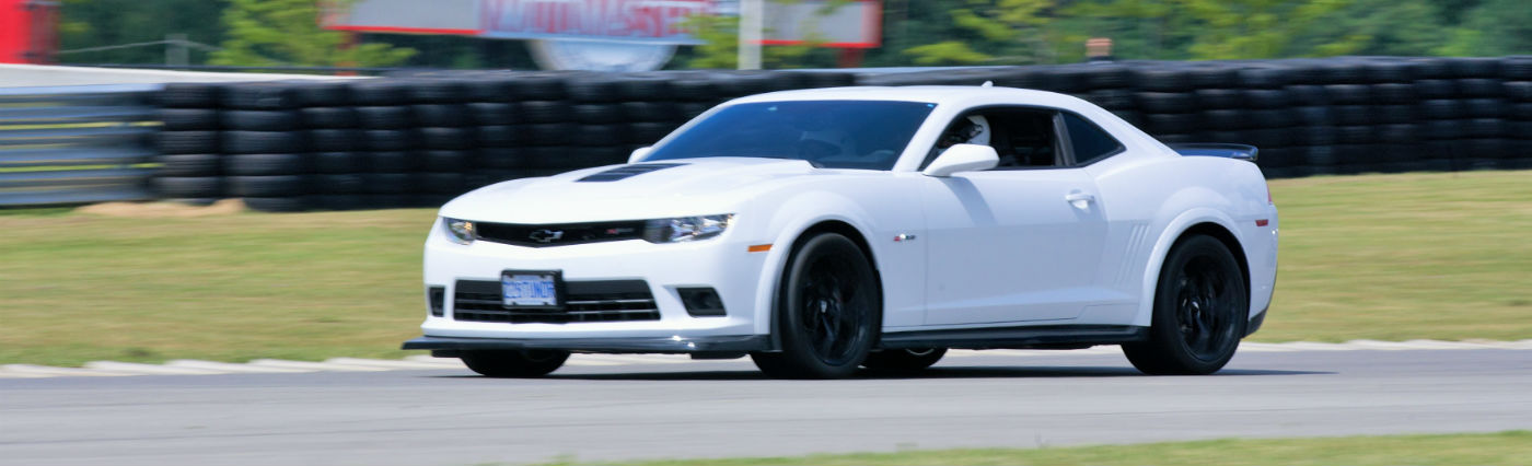 Name:  bgcropped.jpg
Views: 2132
Size:  91.3 KB