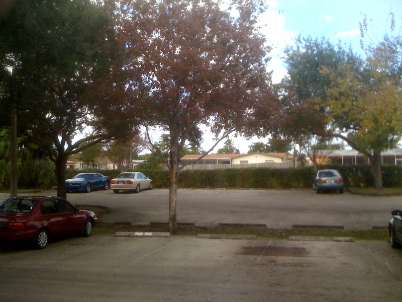 Name:  photo.jpg
Views: 164
Size:  163.4 KB