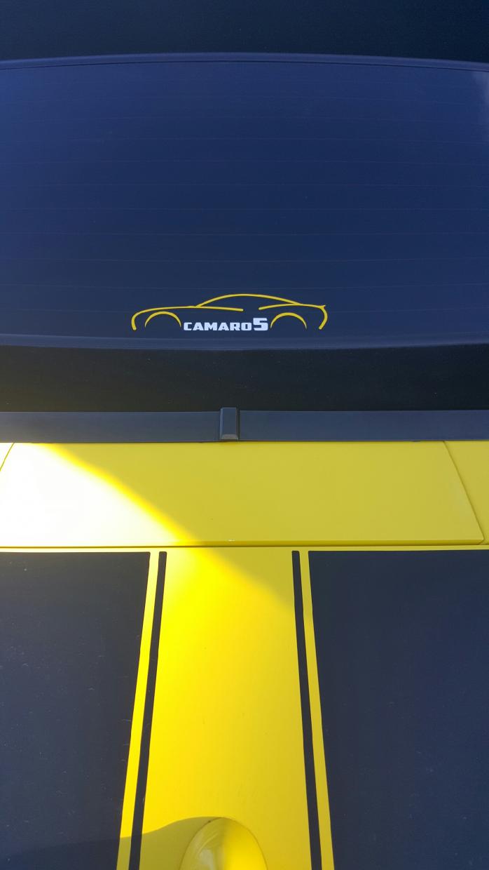 Name:  camaro decal2.jpg
Views: 2516
Size:  43.3 KB