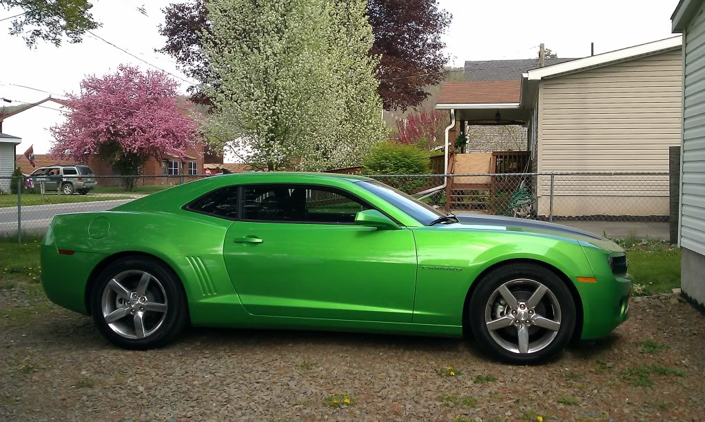 Name:  Kermit2.jpg
Views: 1503
Size:  185.8 KB