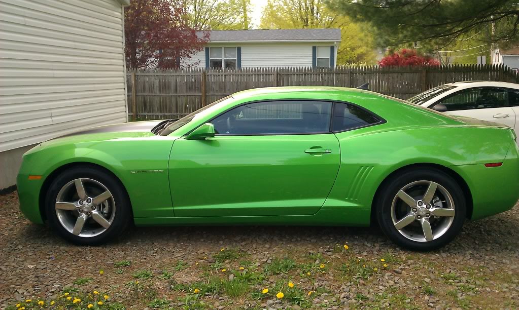 Name:  Kermit3.jpg
Views: 1661
Size:  162.0 KB