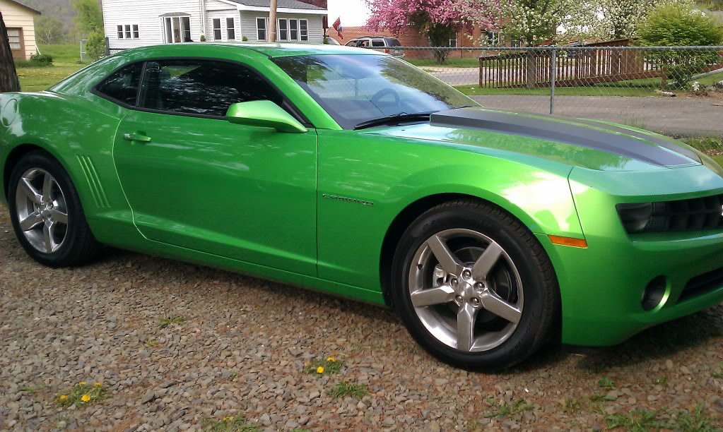 Name:  Kermit5.jpg
Views: 1405
Size:  158.7 KB