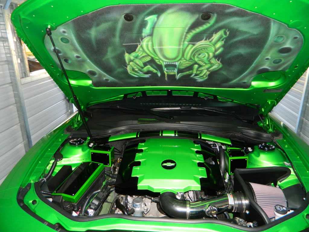 Name:  DSCN1055 (1).jpg
Views: 1259
Size:  157.1 KB