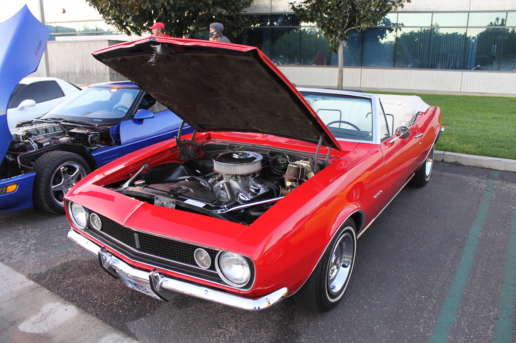 Name:  IMG_7383small.jpg
Views: 246
Size:  318.2 KB