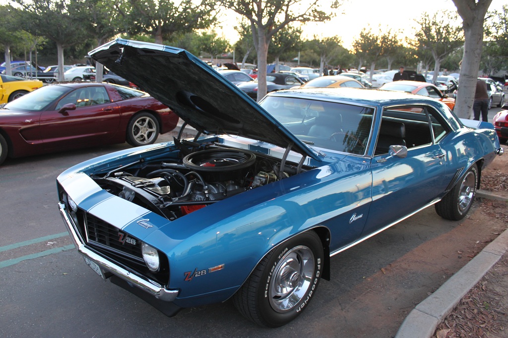 Name:  IMG_7389small.jpg
Views: 244
Size:  300.4 KB