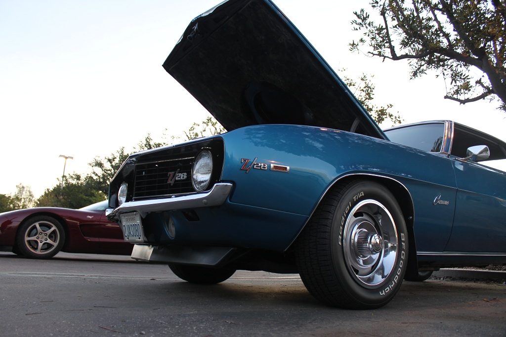 Name:  IMG_7391small.jpg
Views: 254
Size:  215.3 KB