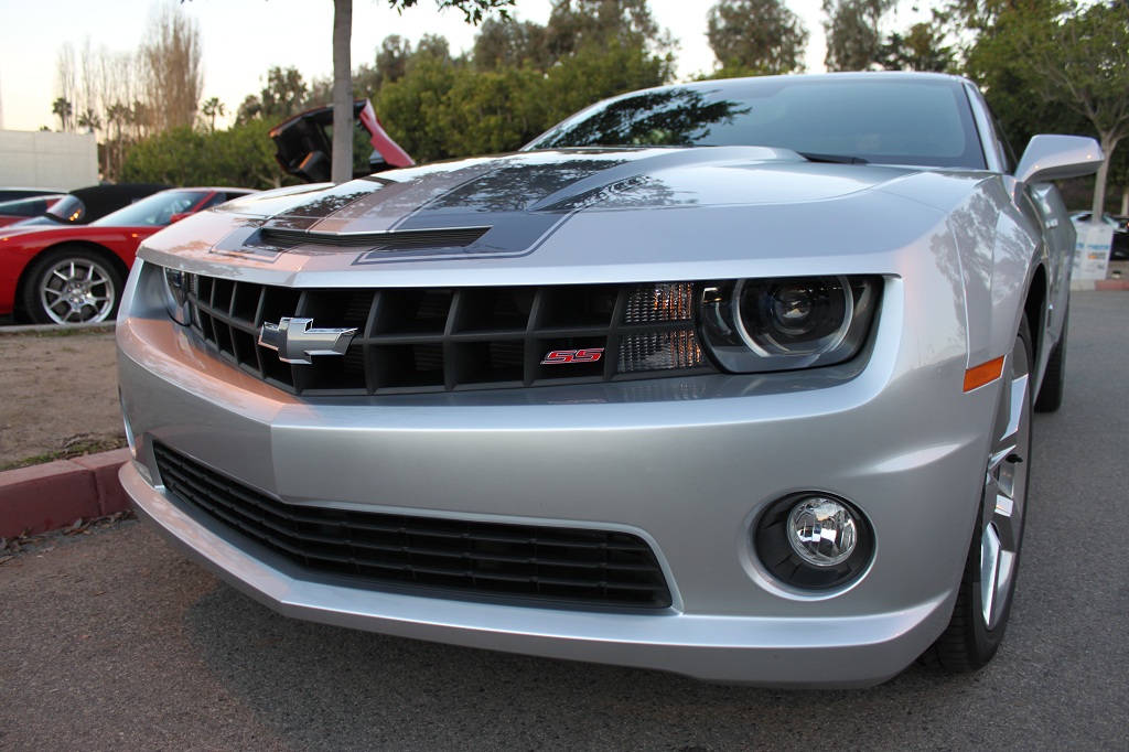 Name:  IMG_7401small.jpg
Views: 239
Size:  241.2 KB