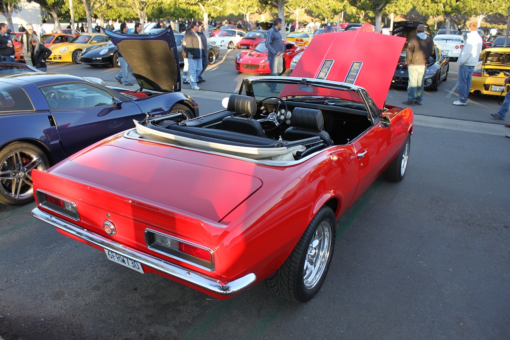 Name:  IMG_7403small.jpg
Views: 237
Size:  322.1 KB