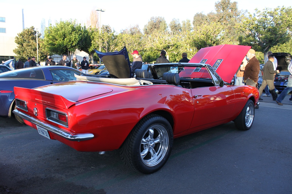 Name:  IMG_7405small.jpg
Views: 232
Size:  302.9 KB