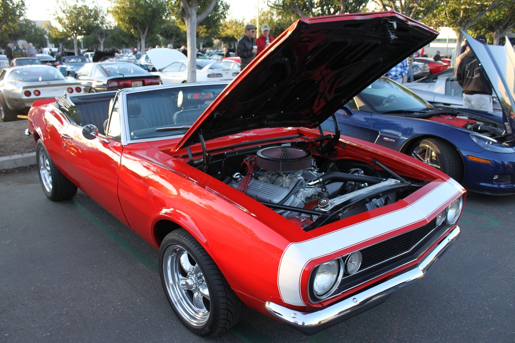 Name:  IMG_7407small.jpg
Views: 248
Size:  304.4 KB