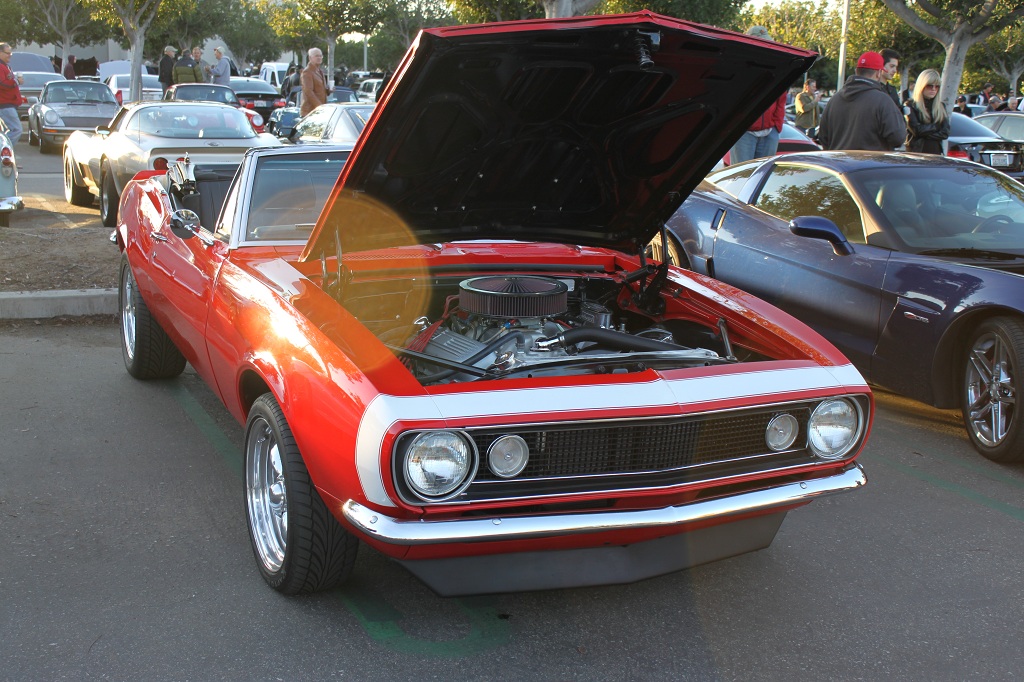 Name:  IMG_7411small.jpg
Views: 241
Size:  293.9 KB