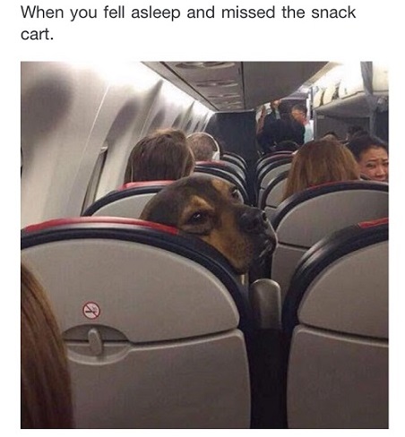 Name:  FullSizeRender.jpg
Views: 1770
Size:  60.2 KB