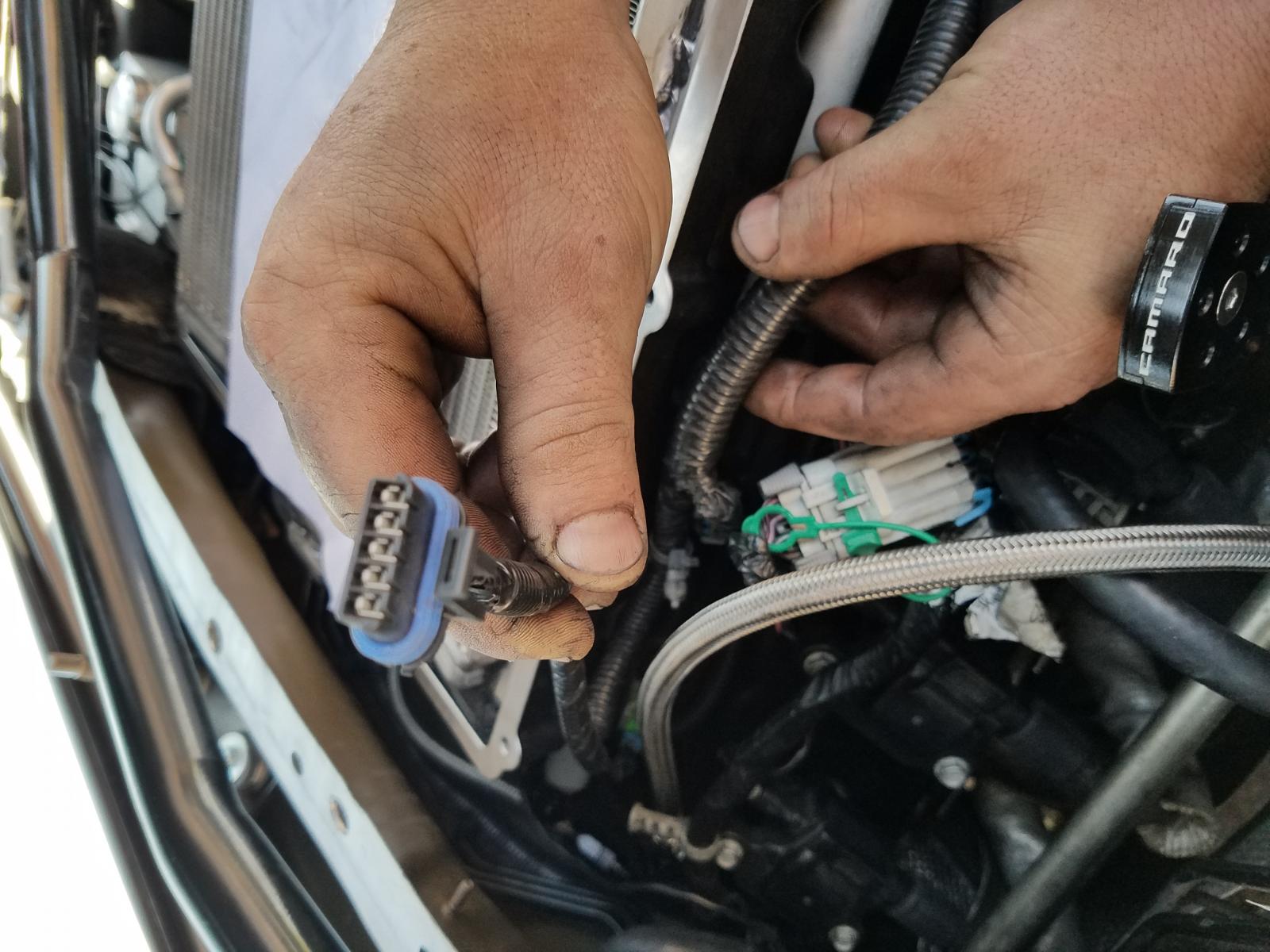 Fuel injection wiring harness passenger side - Camaro5 Chevy Camaro