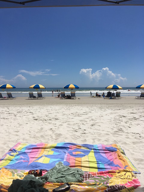 Name:  Office.jpg
Views: 326
Size:  102.1 KB