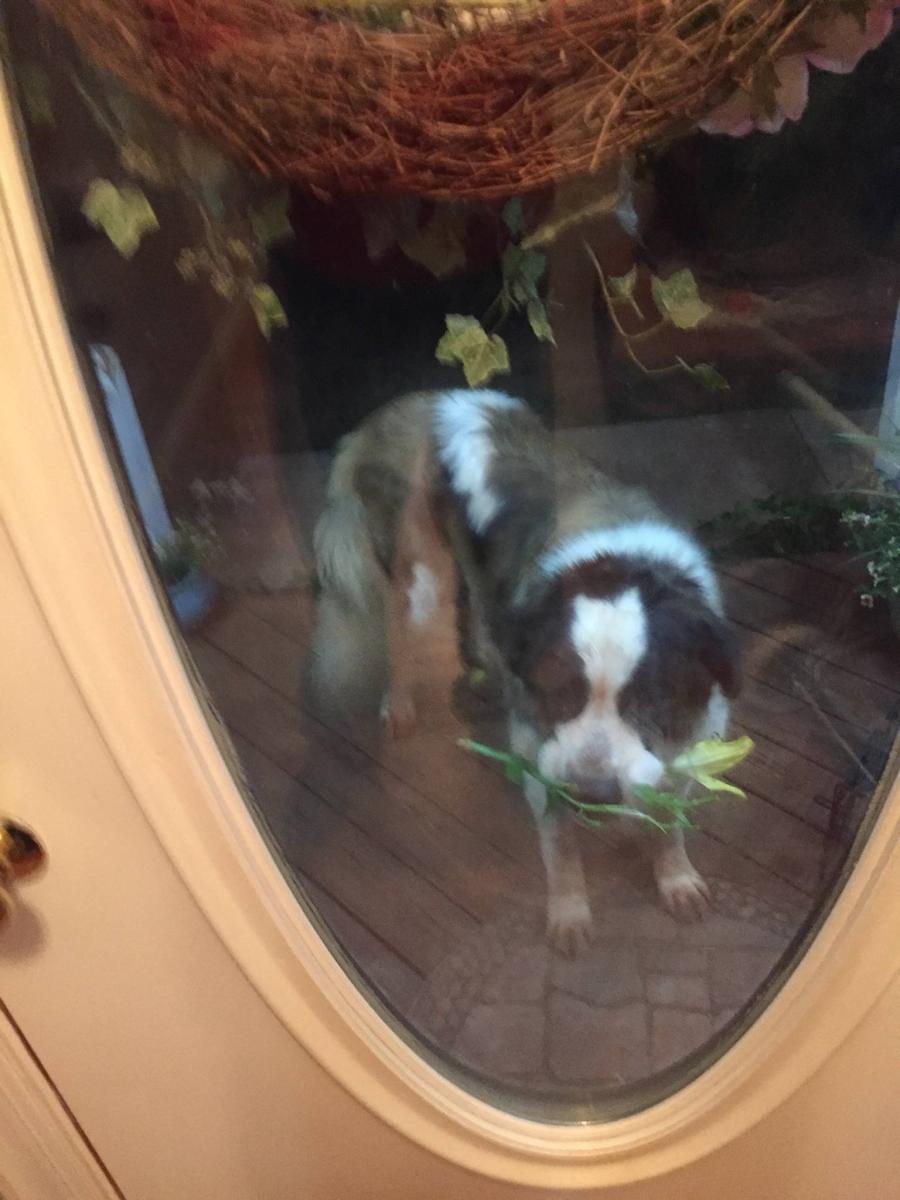 Name:  KEENA.jpg
Views: 464
Size:  94.6 KB