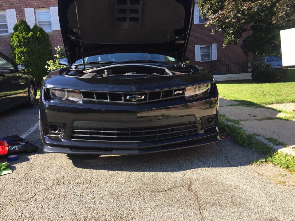 Name:  Black Trim And Fogs - 1.jpg
Views: 2678
Size:  286.9 KB