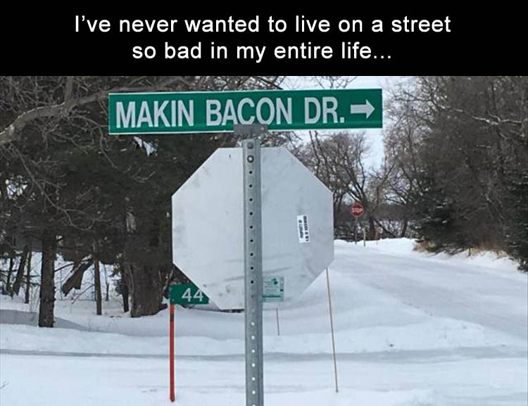 Name:  BACON DRIVE.jpg
Views: 1031
Size:  80.3 KB