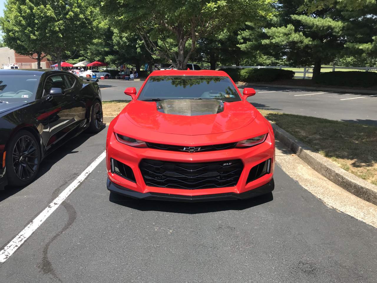 Name:  IMG_0239.JPG
Views: 2073
Size:  193.2 KB