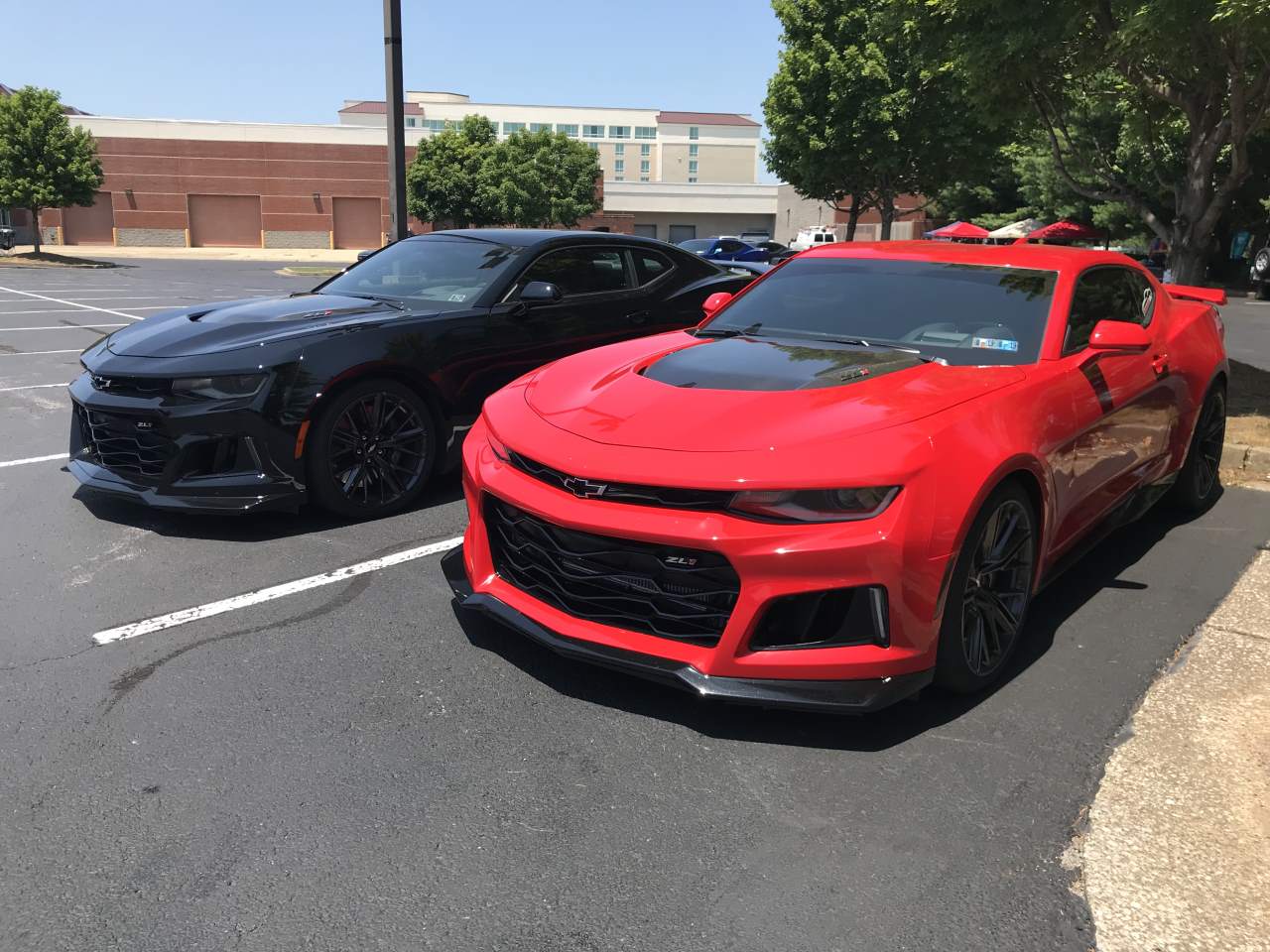 Name:  IMG_0240.JPG
Views: 2238
Size:  161.0 KB