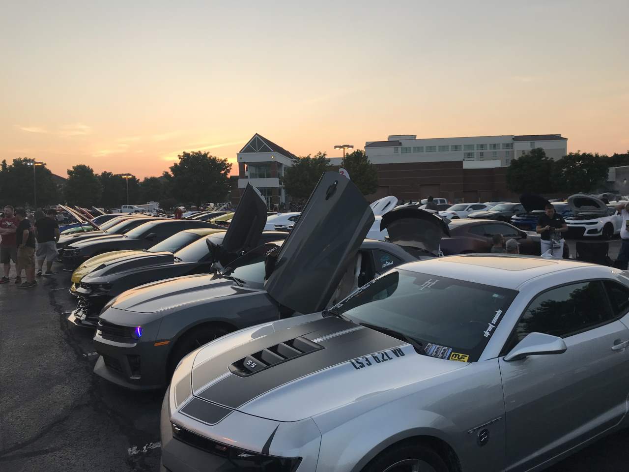 Name:  IMG_0245.JPG
Views: 2082
Size:  96.1 KB