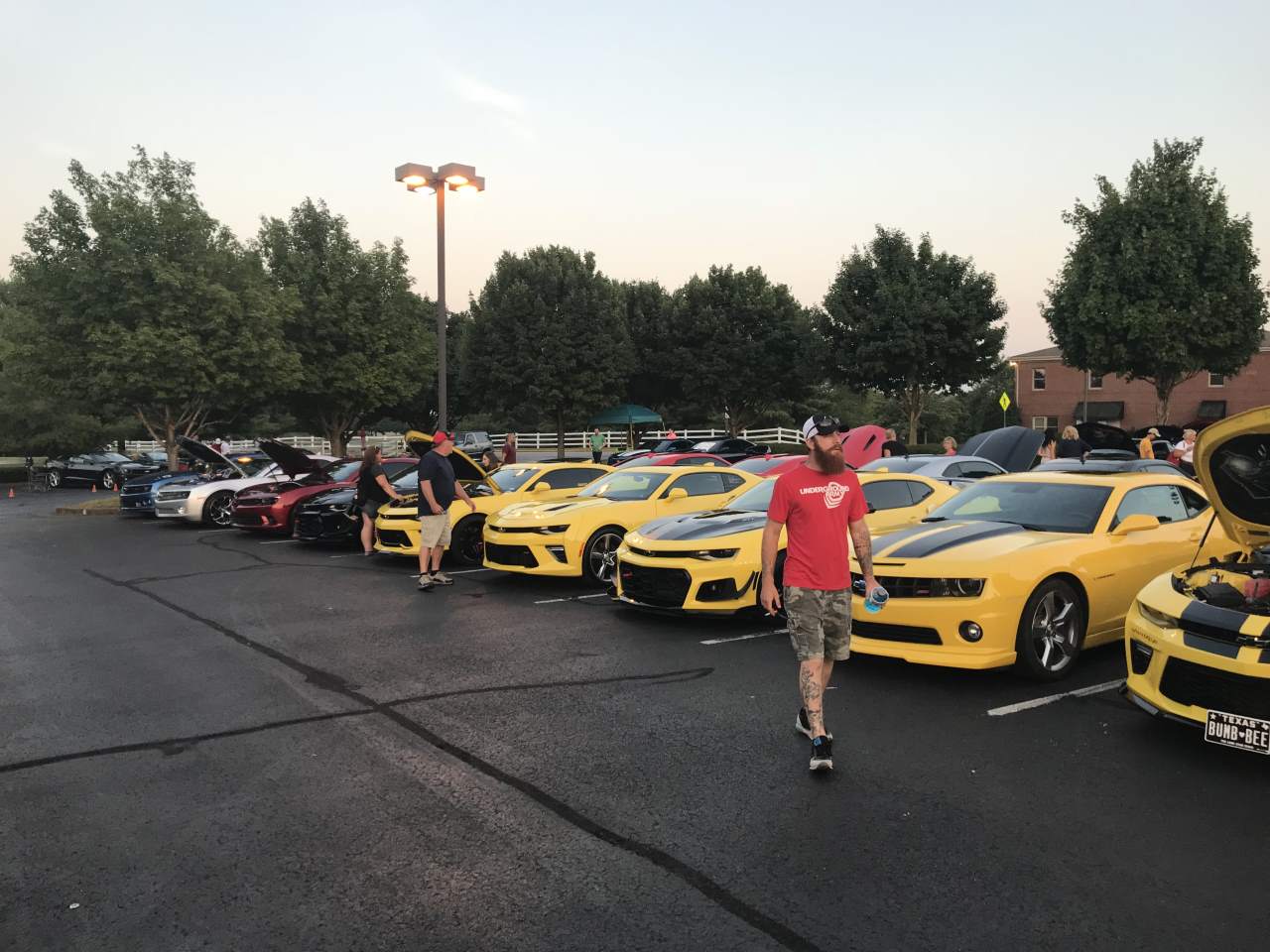 Name:  IMG_0247.JPG
Views: 2182
Size:  133.8 KB