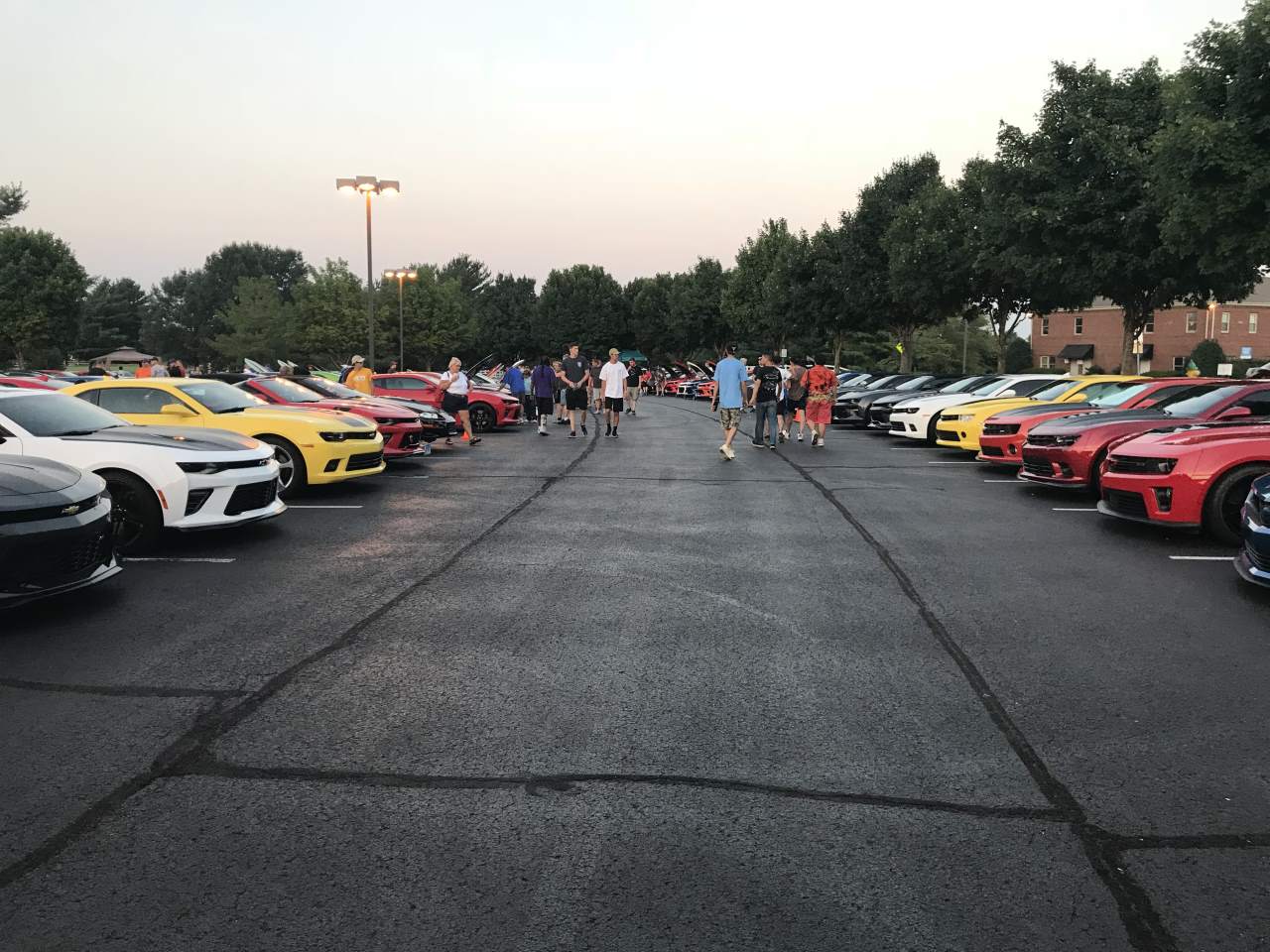 Name:  IMG_0252.JPG
Views: 2103
Size:  163.3 KB