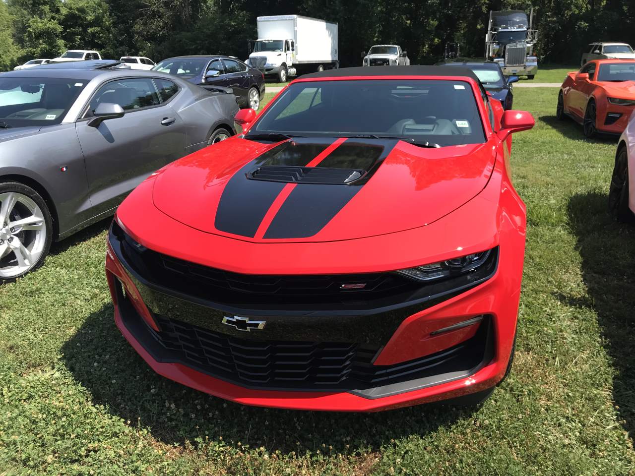 Name:  IMG_0366.JPG
Views: 2048
Size:  197.5 KB