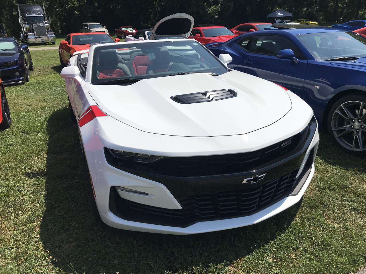 Name:  IMG_0367.JPG
Views: 1969
Size:  174.6 KB