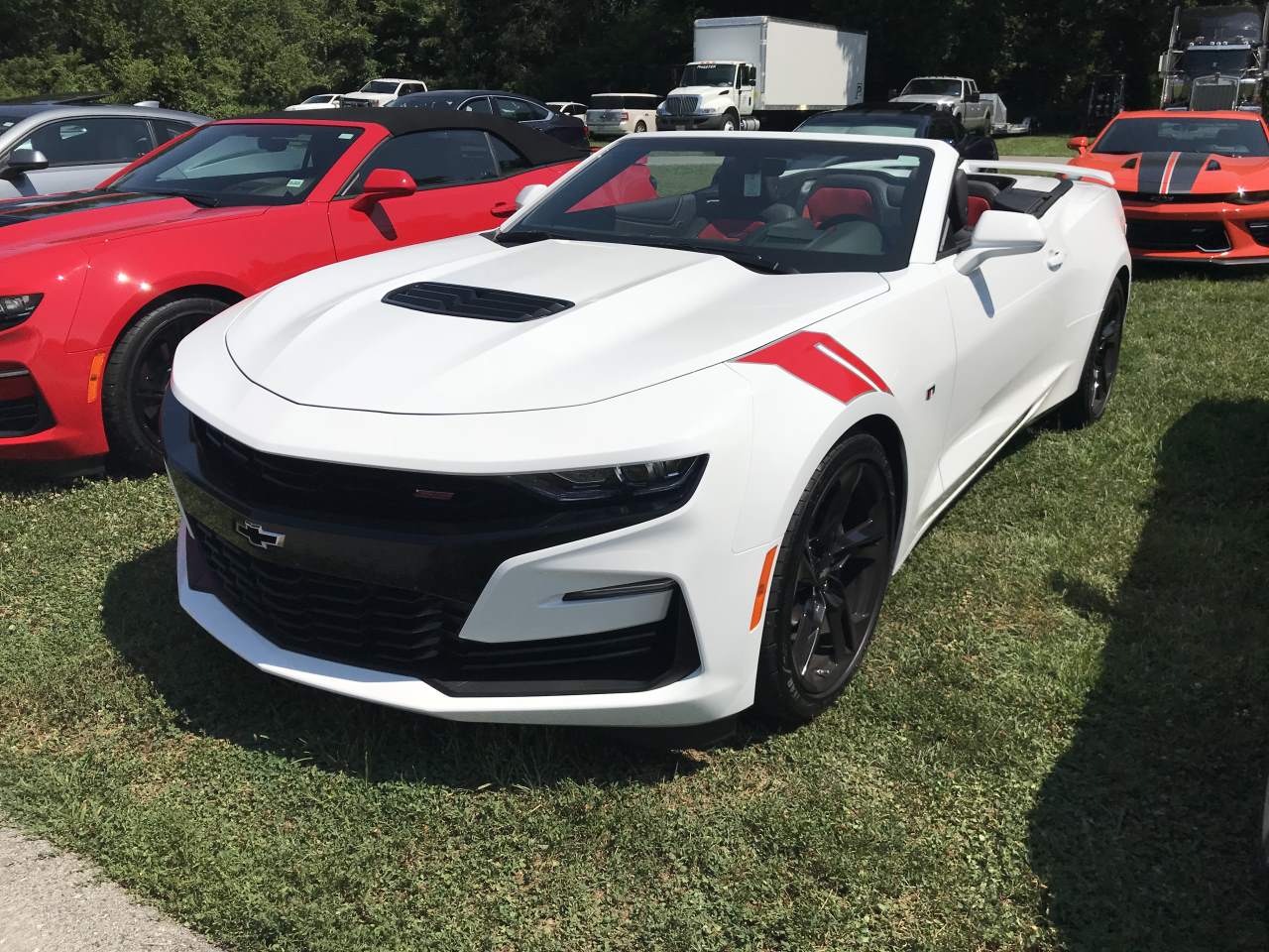 Name:  IMG_0368.JPG
Views: 1853
Size:  198.9 KB