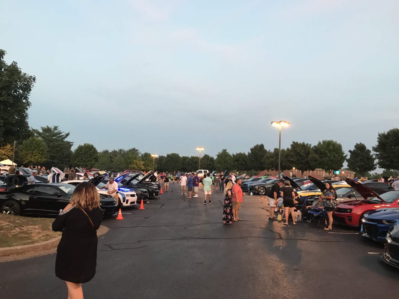 Name:  IMG_0380.JPG
Views: 1976
Size:  98.7 KB