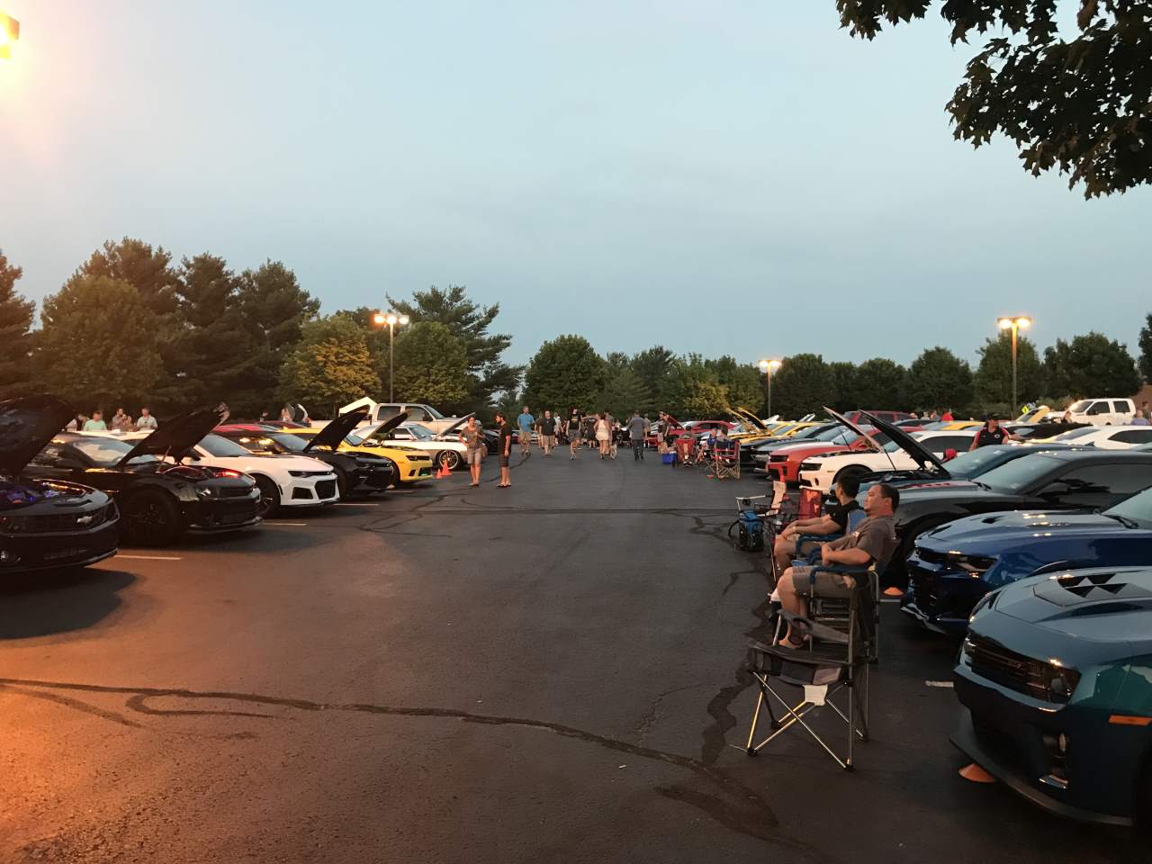 Name:  IMG_0381.JPG
Views: 2039
Size:  116.3 KB