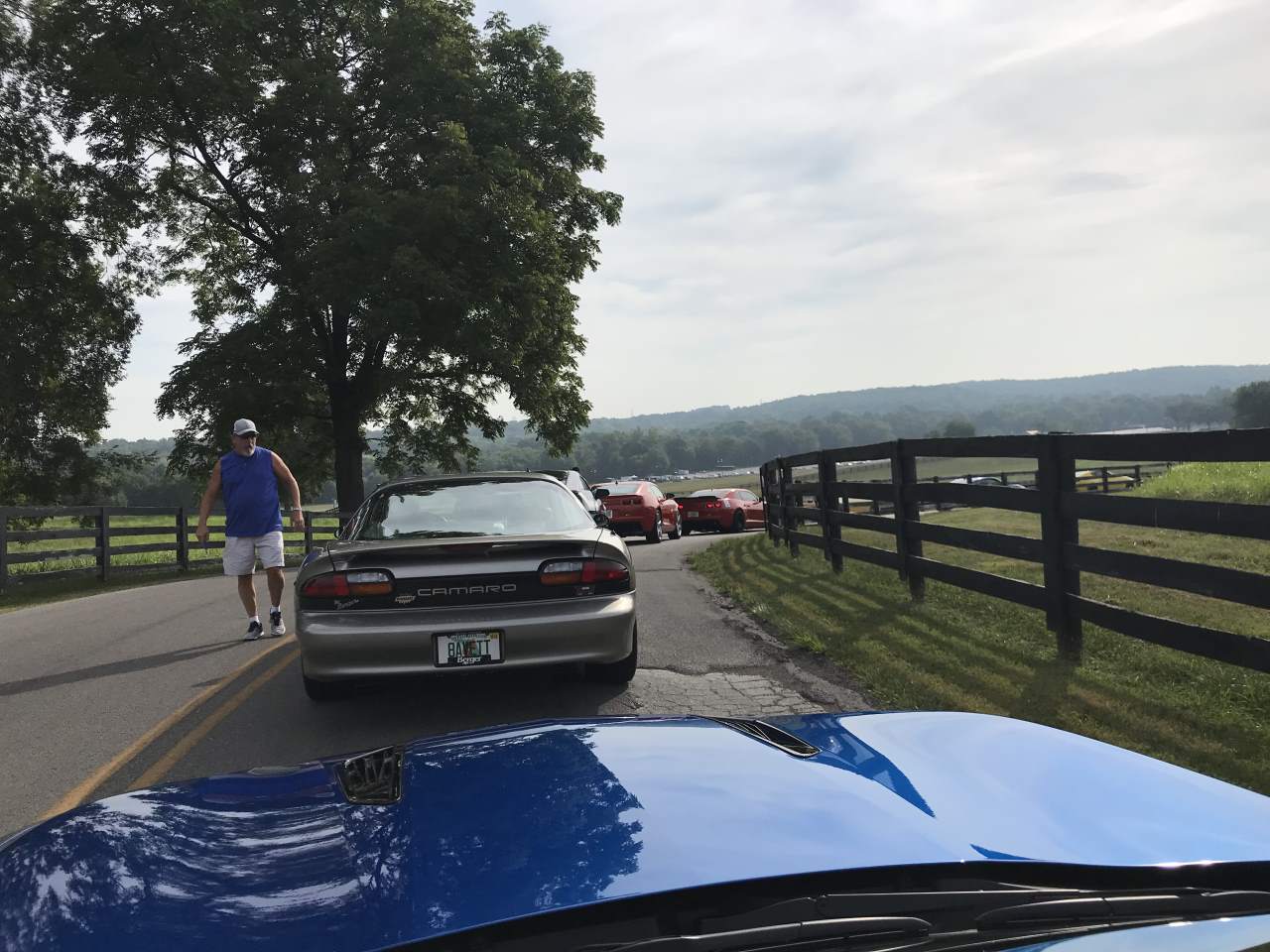 Name:  IMG_0390.JPG
Views: 1865
Size:  148.2 KB