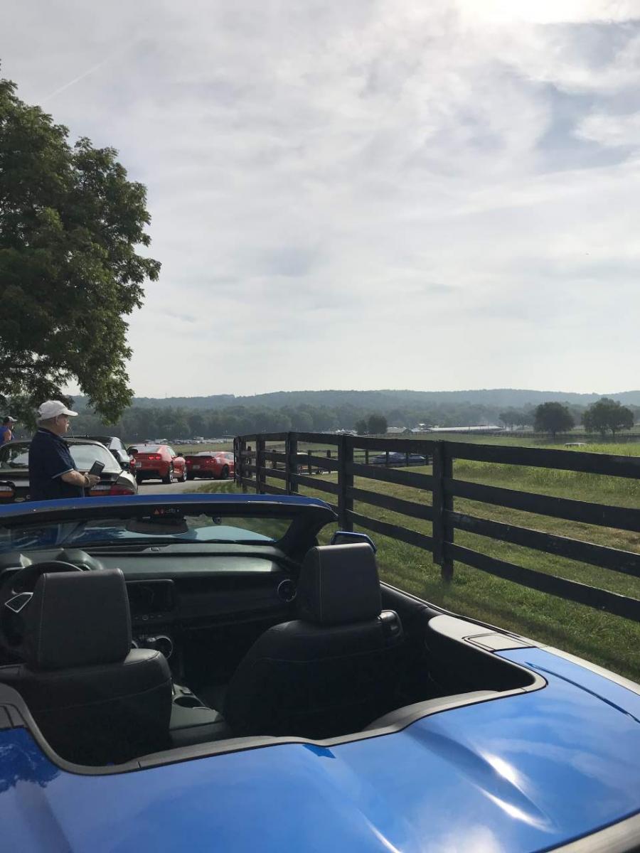 Name:  IMG_0394.jpg
Views: 2116
Size:  94.3 KB