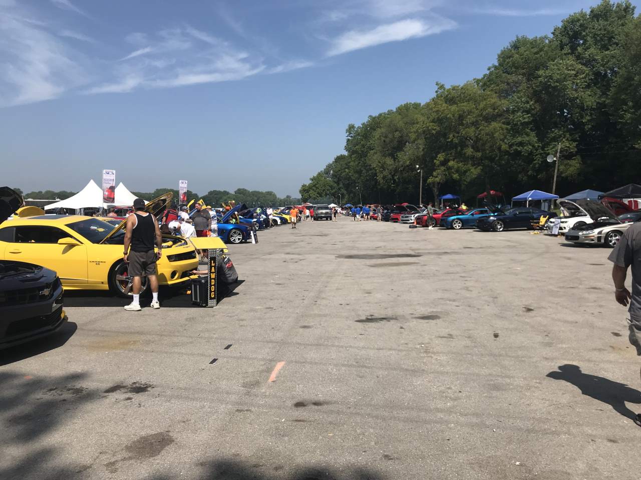 Name:  IMG_0419.JPG
Views: 1904
Size:  145.1 KB