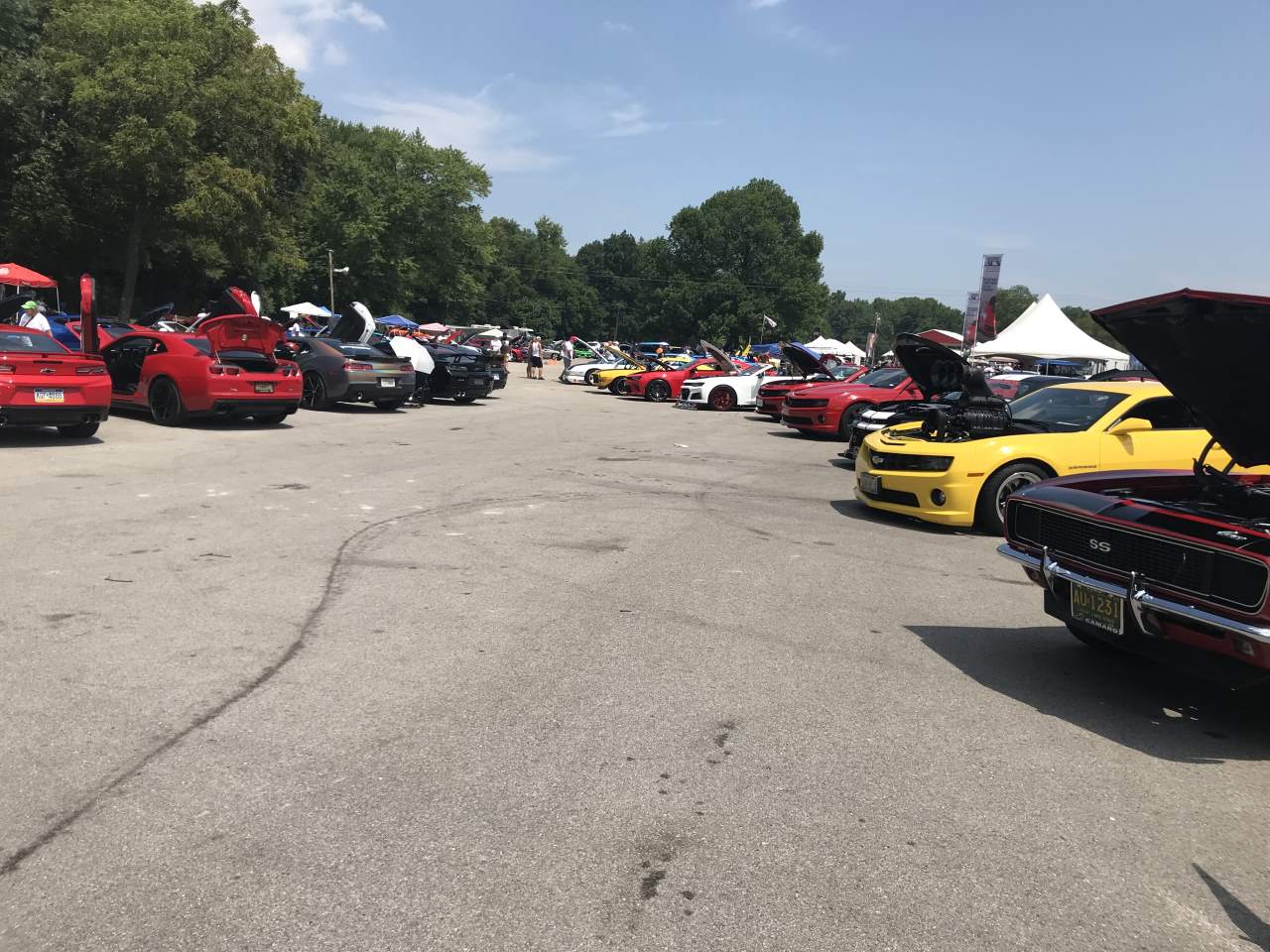 Name:  IMG_0434.JPG
Views: 1753
Size:  170.9 KB