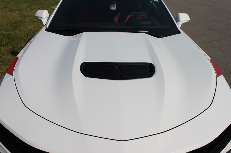 Name:  mini-IMG_9378.JPG
Views: 5188
Size:  46.6 KB