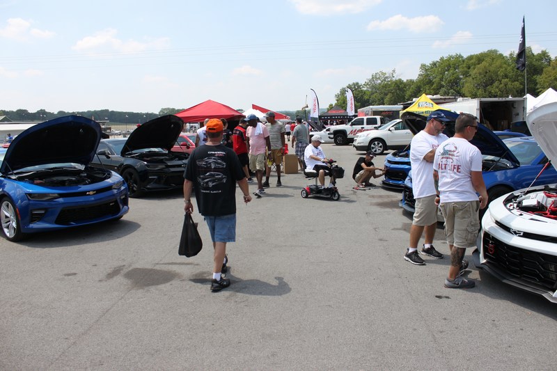 Name:  mini-IMG_9994.JPG
Views: 4714
Size:  107.1 KB