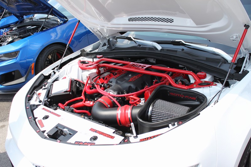 Name:  mini-IMG_9995.JPG
Views: 4905
Size:  112.5 KB