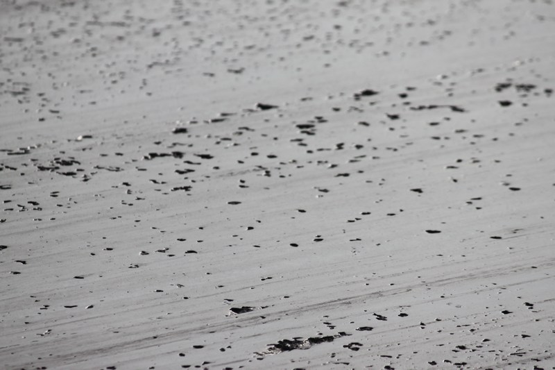 Name:  mini-IMG_9825.JPG
Views: 4434
Size:  75.3 KB