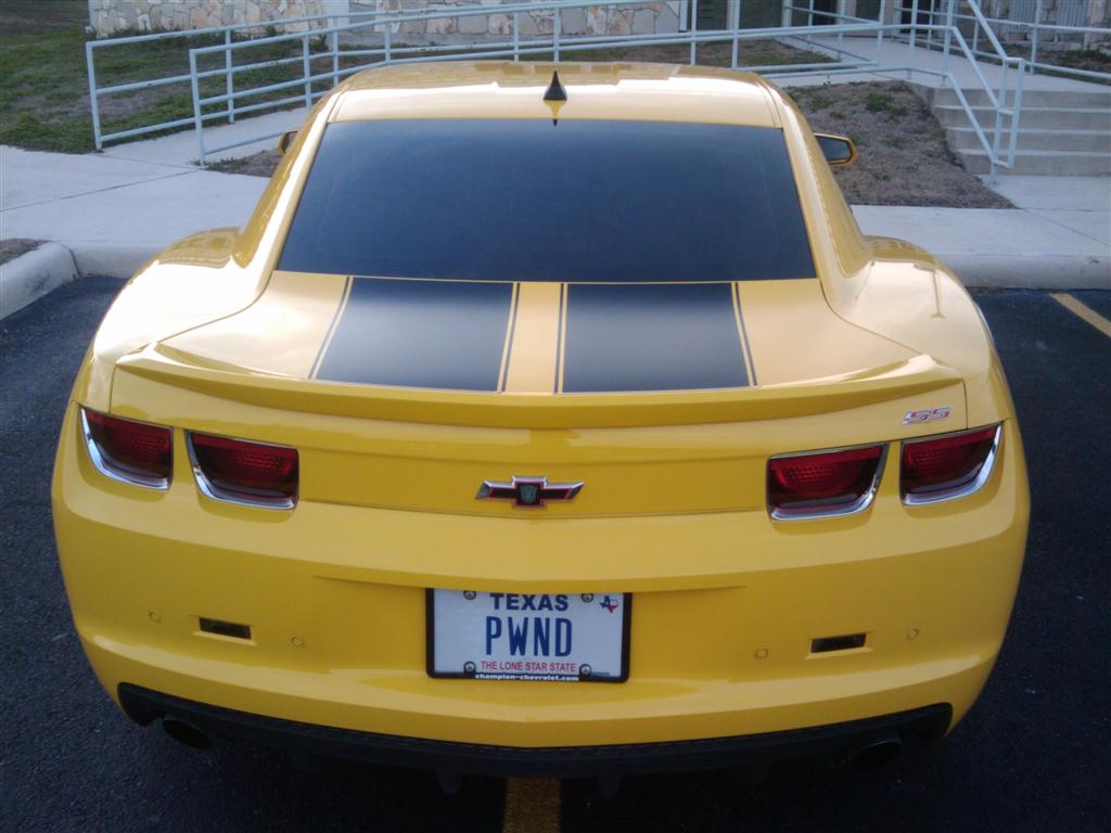 Name:  2010-02-17 17.58.31.jpg
Views: 2467
Size:  122.3 KB