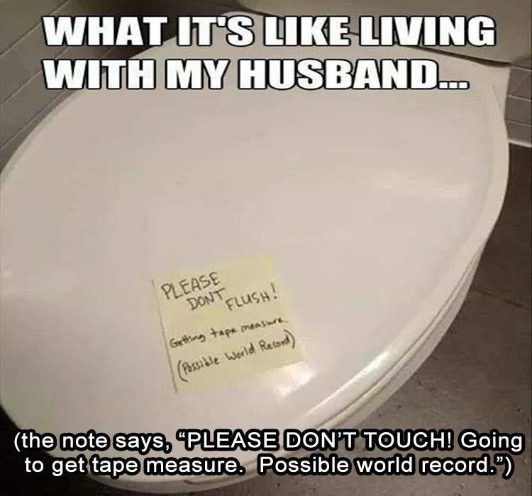 Name:  BIG TURD.jpg
Views: 887
Size:  64.2 KB