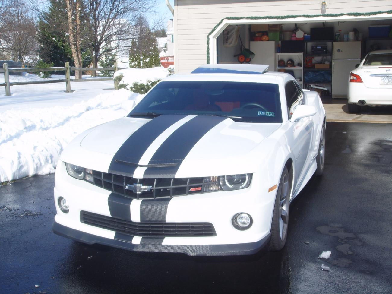 Name:  SSL10772.jpg
Views: 1278
Size:  152.8 KB