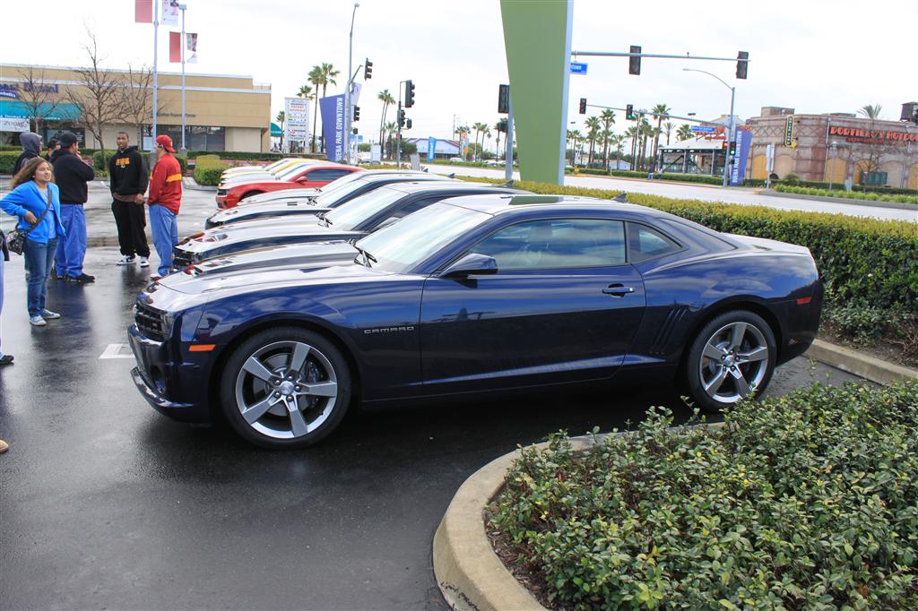 Name:  IMG_9848 (Custom).JPG
Views: 339
Size:  159.1 KB