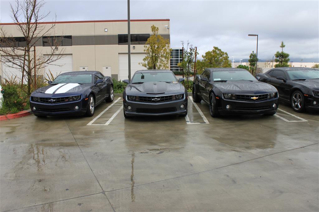 Name:  IMG_9871 (Custom).JPG
Views: 317
Size:  112.4 KB