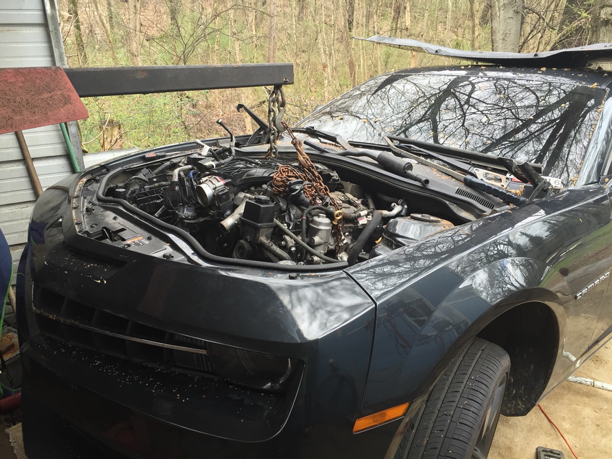 Name:  IMG_3151.jpg
Views: 509
Size:  509.1 KB