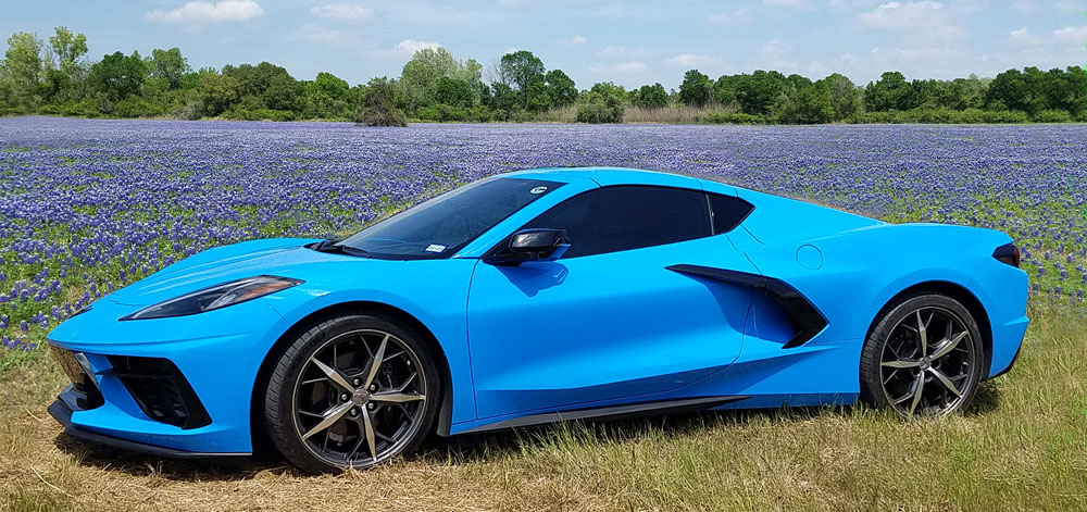 Name:  Blue Bonnett Vette 1000.jpg
Views: 242
Size:  212.9 KB