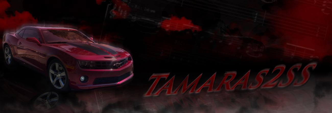 Name:  Tamaras2SS.jpg
Views: 191
Size:  37.8 KB