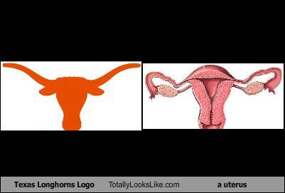 Name:  texas-longhorn-tll-uterus1.jpg
Views: 3537
Size:  11.1 KB