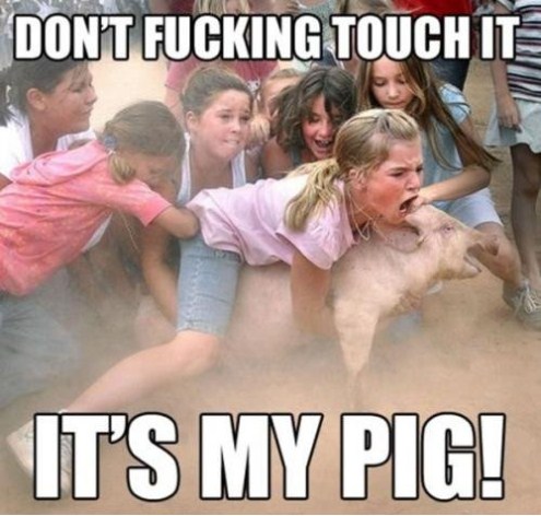 Name:  funny-picture-my-pig.jpg
Views: 139
Size:  57.8 KB