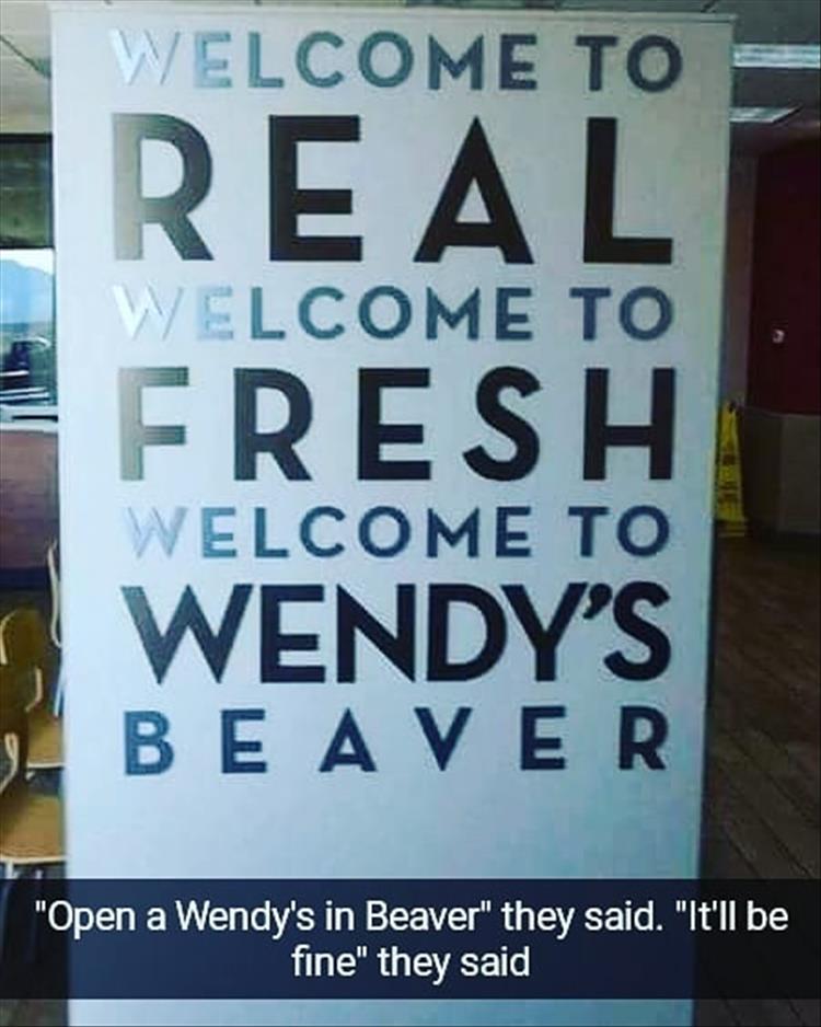 Name:  wendys beaver.jpg
Views: 1286
Size:  72.6 KB